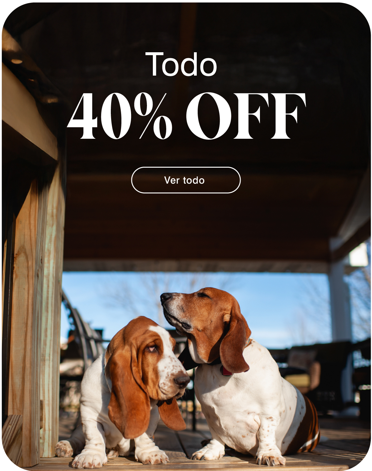 Todo 40% OFF