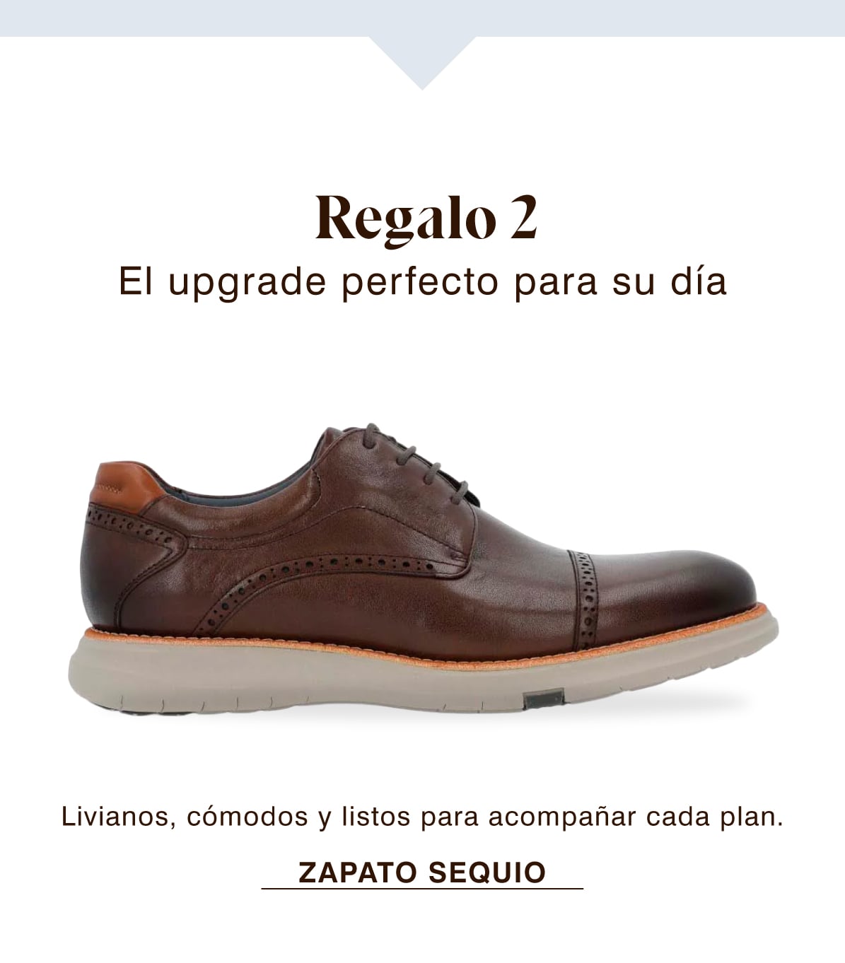 Regalo 2