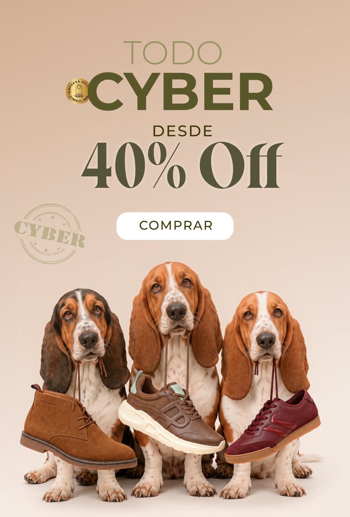Todo-Cyber-1