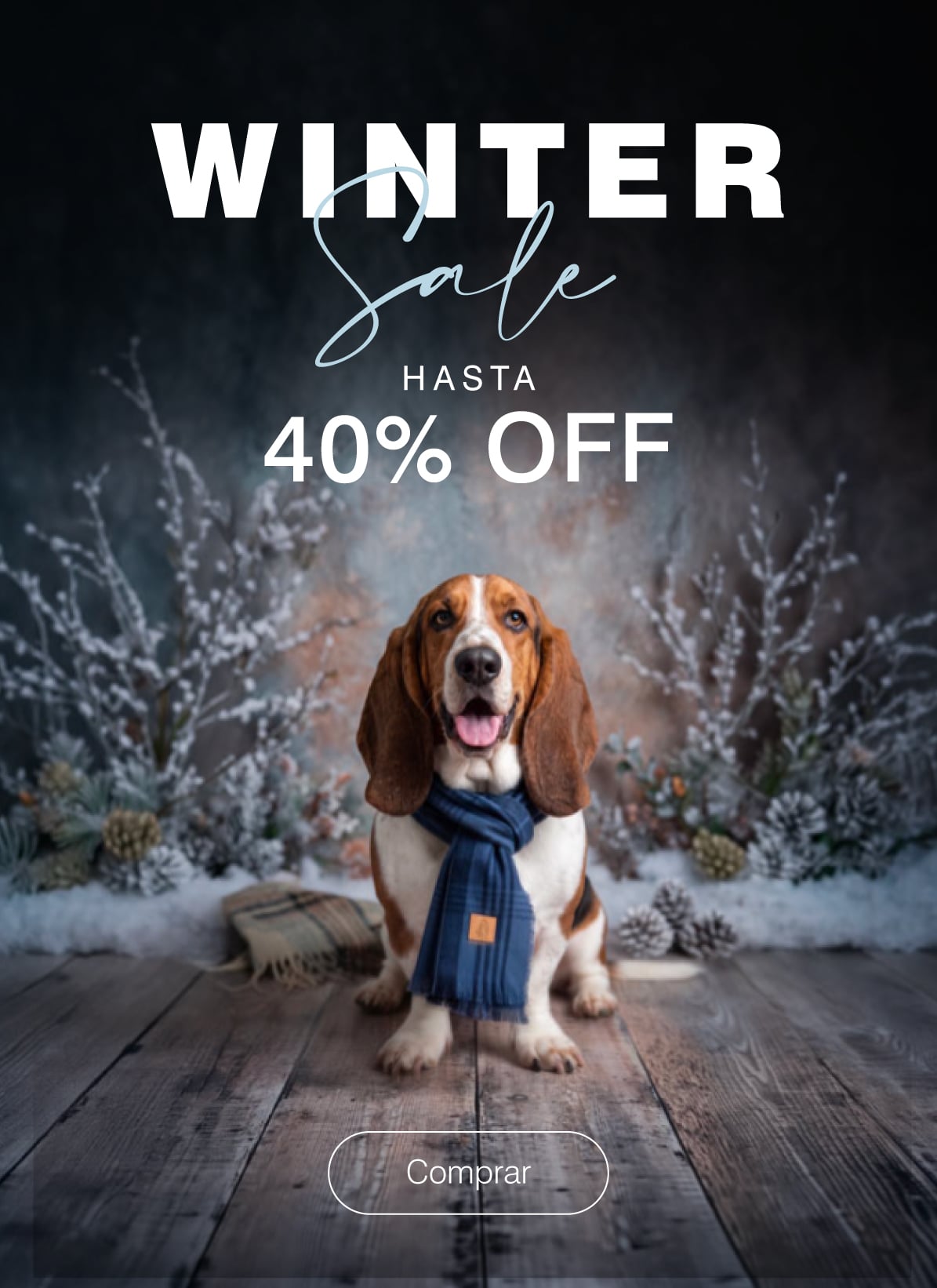 Winter-Sale