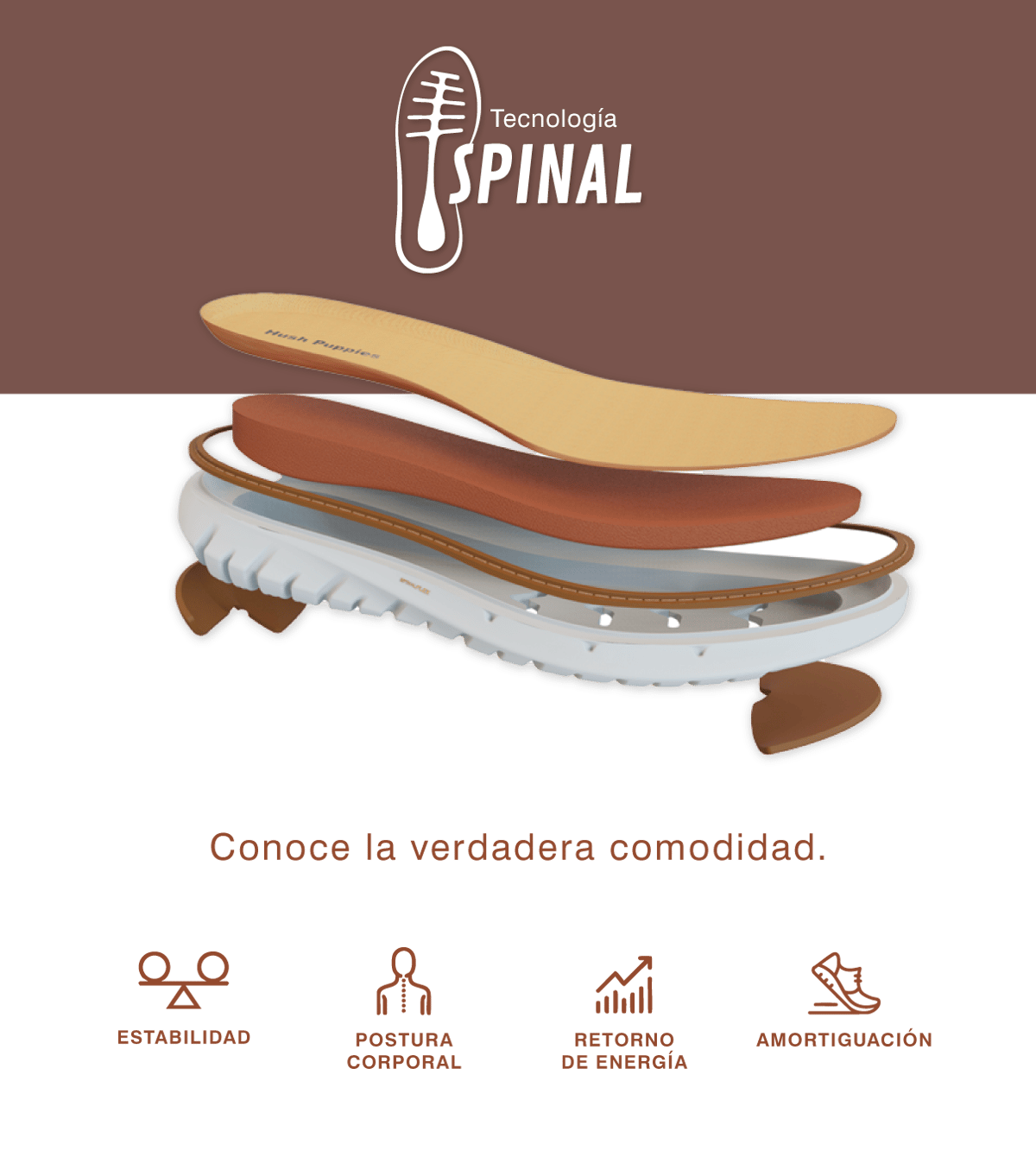 Spinal