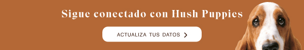 Nueva llamada a la acción