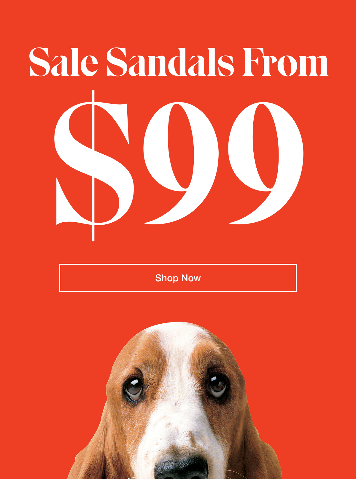 sale sandals shop now