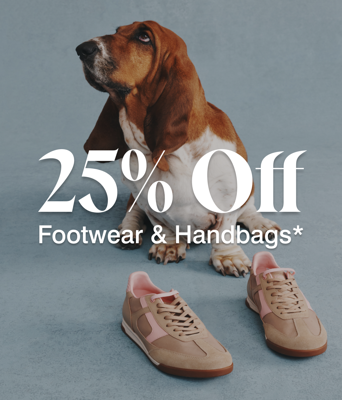 25% off footwear & handbags