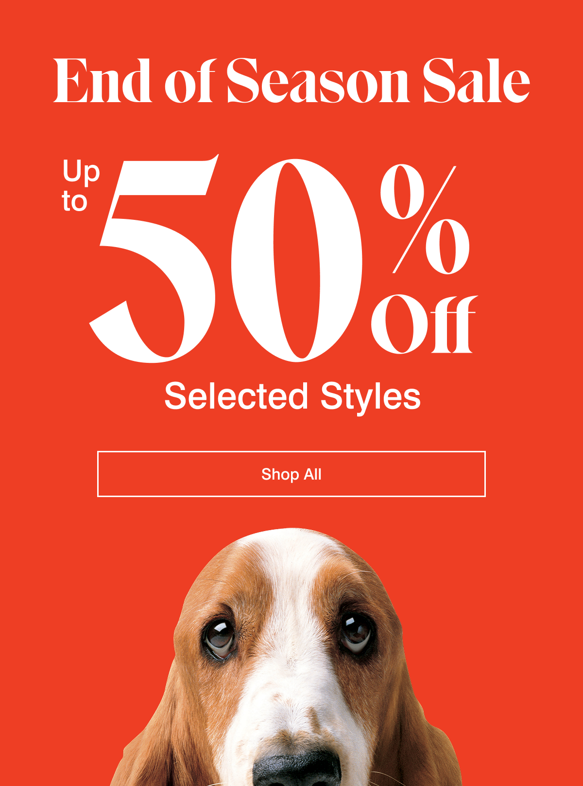end of season sale