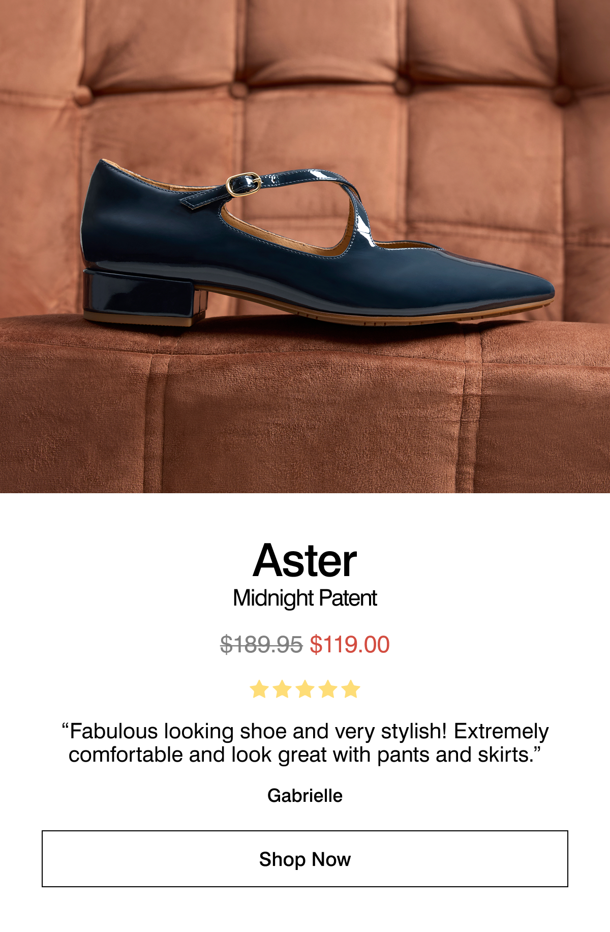aster midnight