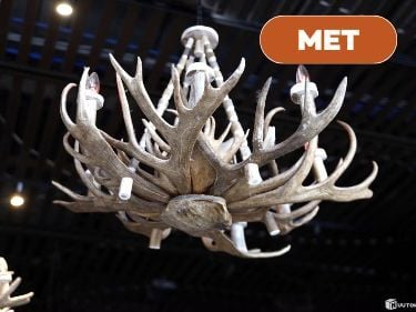 Suuri poronsarvivalaisin