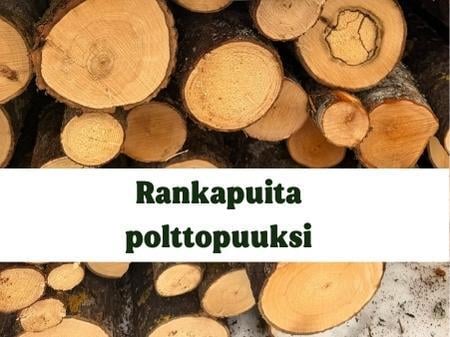 Rankapuuta