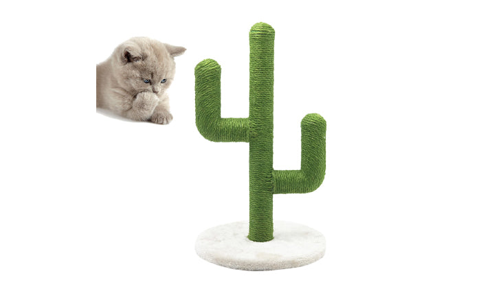 Image of Rex - Cactus Cat Scratching Post