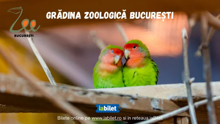 11 februarie - 31 decembrie: Gradina Zoologica Bucuresti