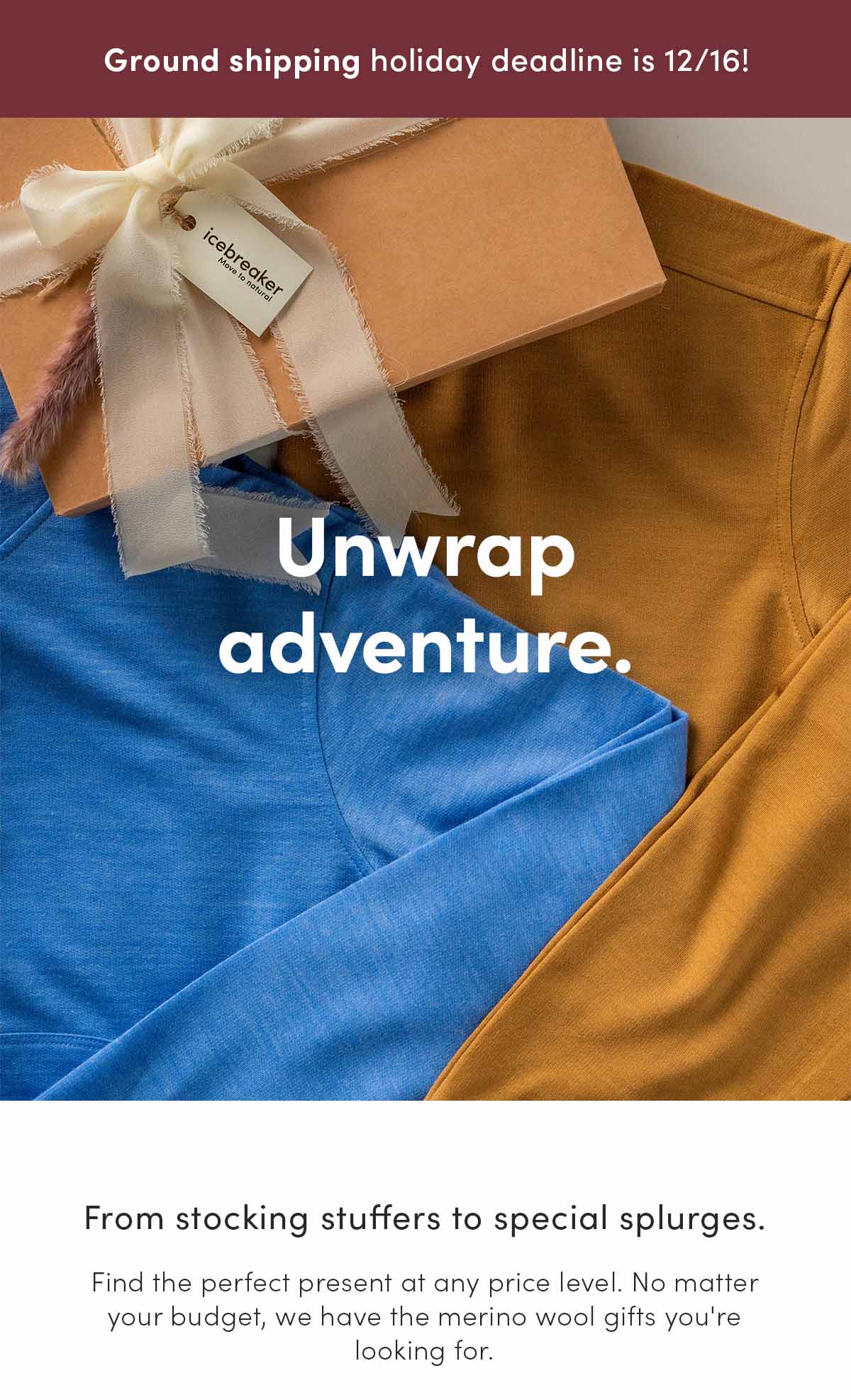 Unwrap adventure. From stocking stuffers to special splurges. Find the perfect present at any price level. No matter your budget, we have the merino wool gifts you're looking for.