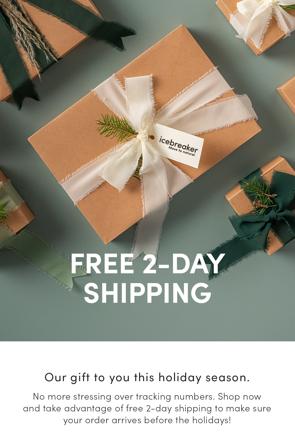 Free 2-day shipping. Our gift to you this holiday season. No more stressing over tracking numbers. Shop now and take advantage of free 2-day shipping to make sure your order arrives before the holidays!