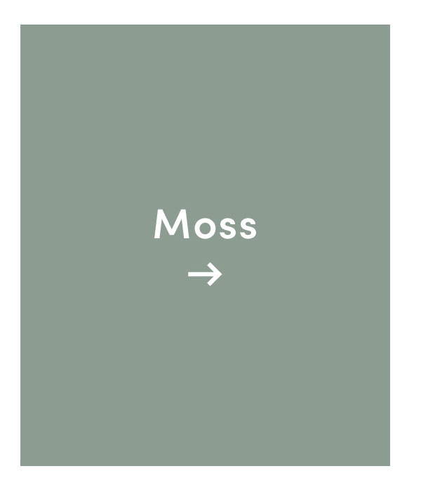 Shop Moss.