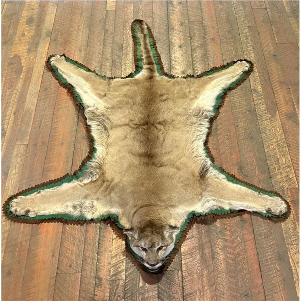 Montana Taxidermy Mountain Lion Rug