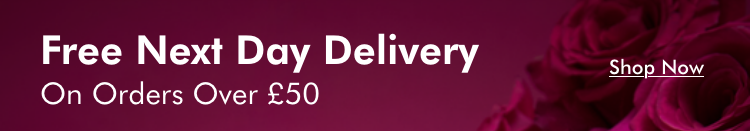 Free Next Day Delivery On Orders Over £50