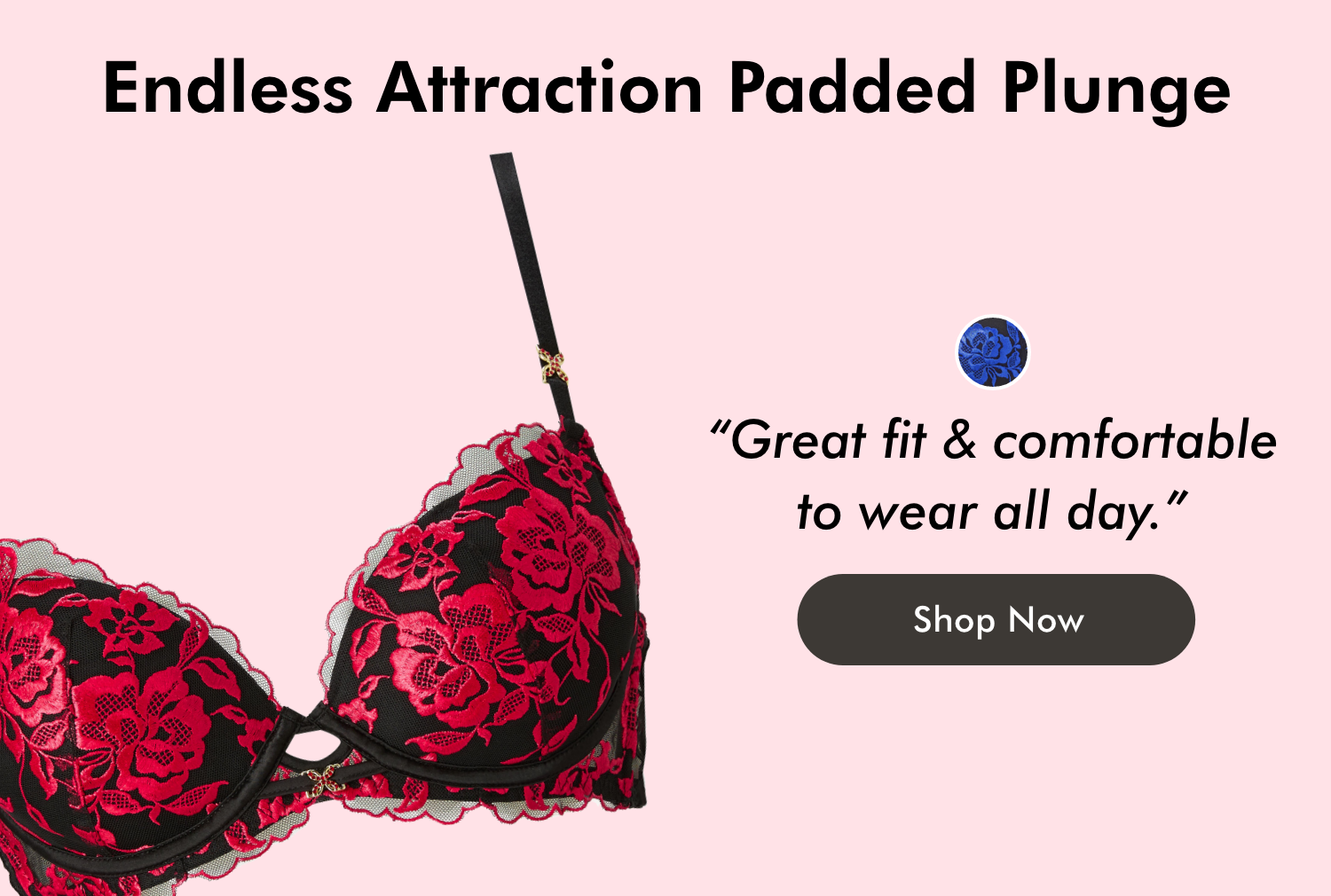 Endless Attraction Padded Plunge Bra