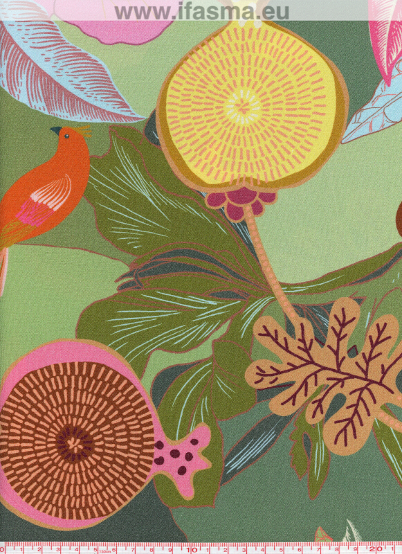 BBE325 XODIUS VERT / ROSE Digital Prints