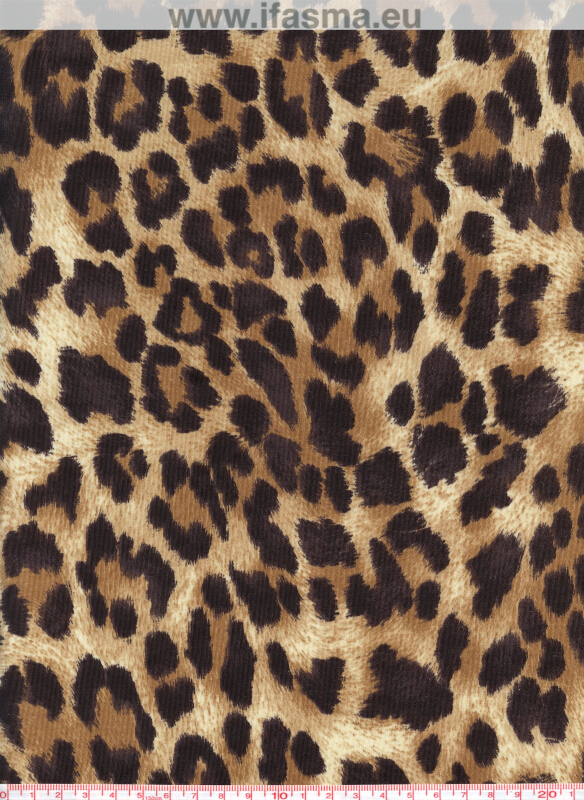 ΣΖΕ2153 Animal Print 43