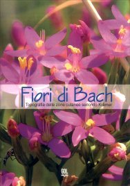 Fiori di Bach - Topografia delle Zone Cutanee Secondo Krämer