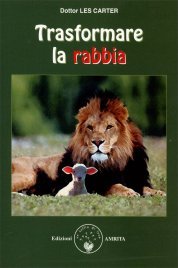 Trasformare la Rabbia