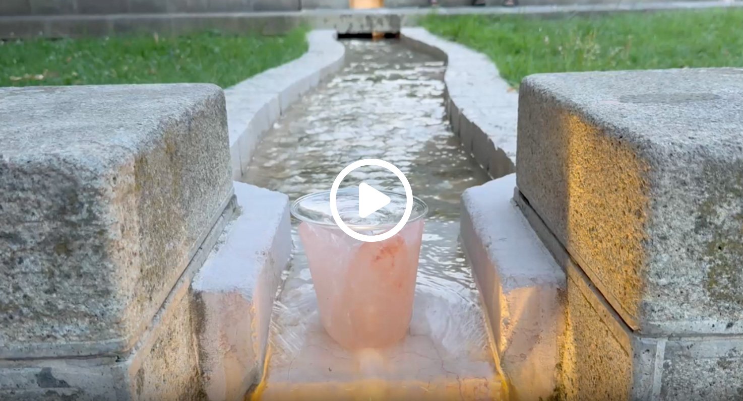 Video Portacandela Brucia Essenze Tulipano