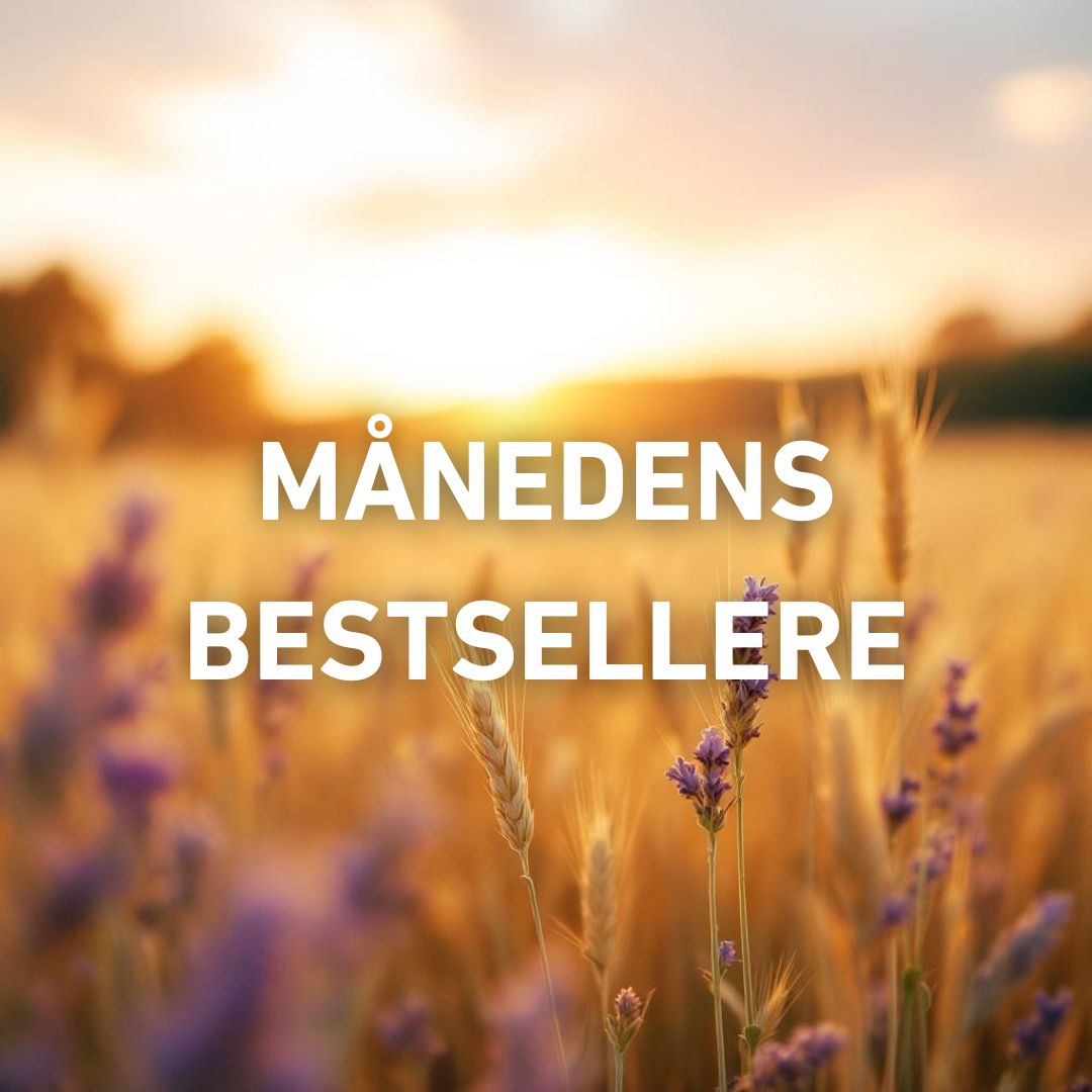 Månedens bestsellere