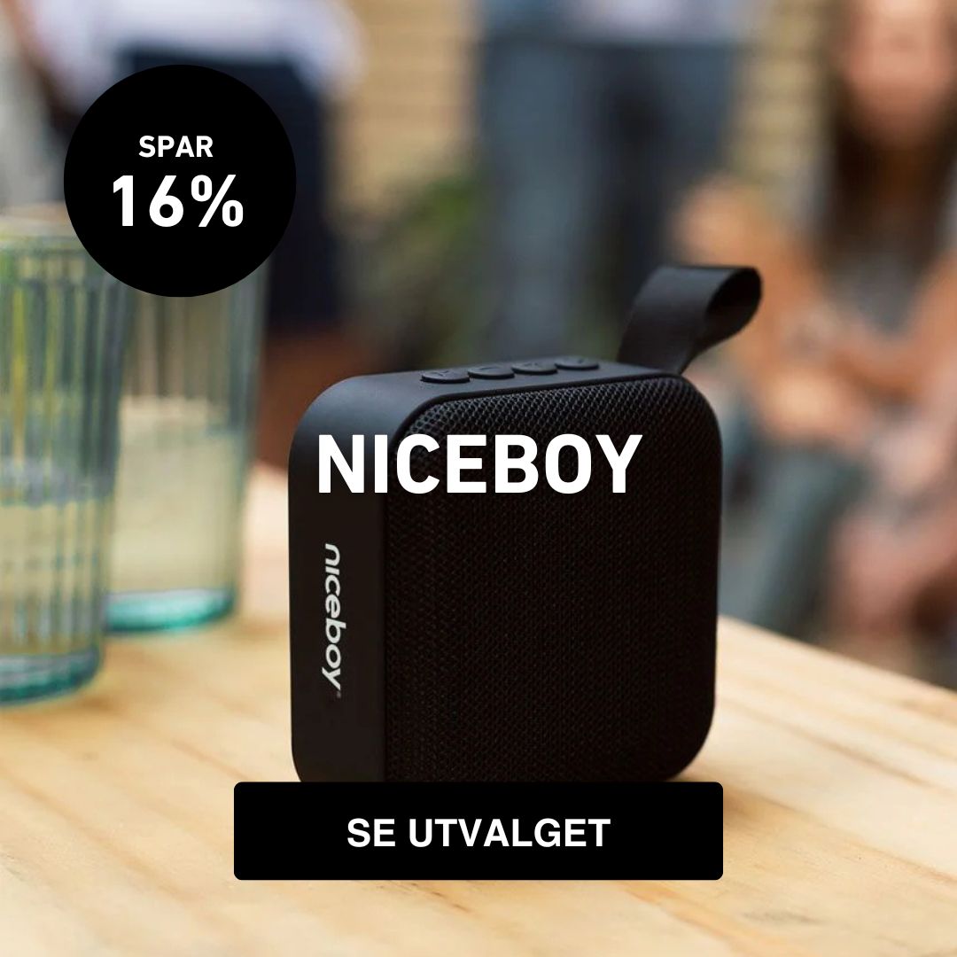 niceboy