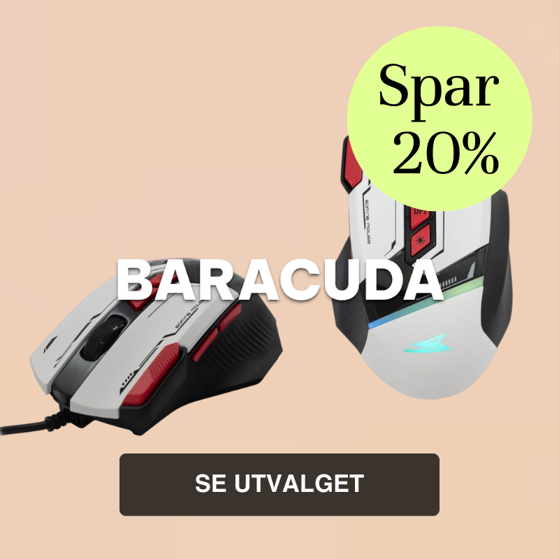 baracuda