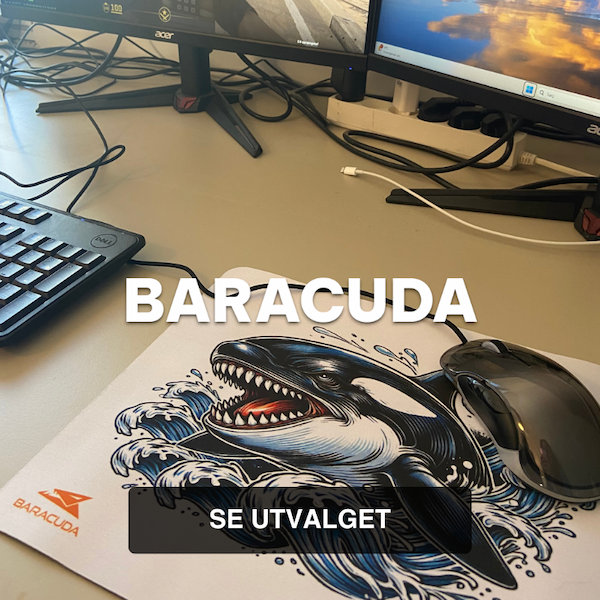 BARACUDA