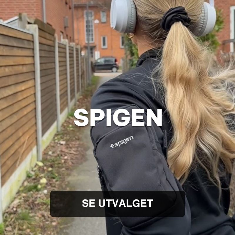 SPIGEN
