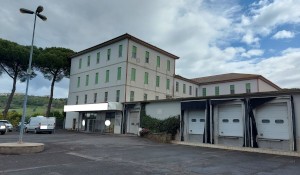 Azienda dedita a macellazione e commercio carni suine