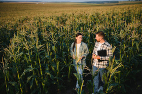 Nuovi aiuti e finanziamenti di Stato all’agricoltura tramite i Pac con maggior importi e meno limiti