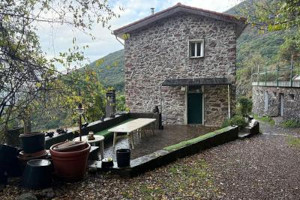 Complesso aziendale di società agricola