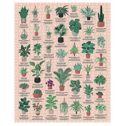 House of Plants Puzzle