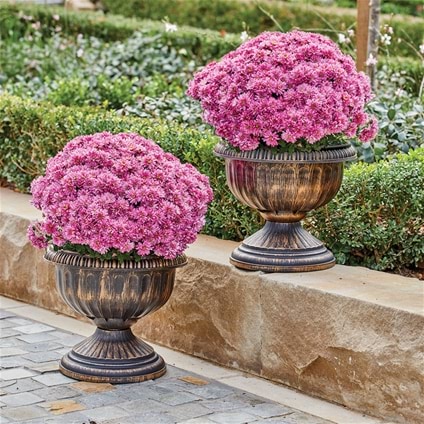 Bronze Look Pedestal Planters - Set of 2