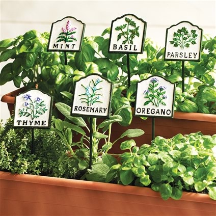 Hand-Painted Herb Markets - Set of 6