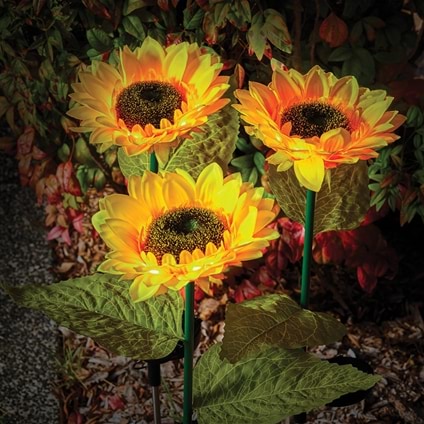 Solar Sunflowers