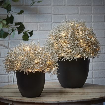 Table Topiary Lights