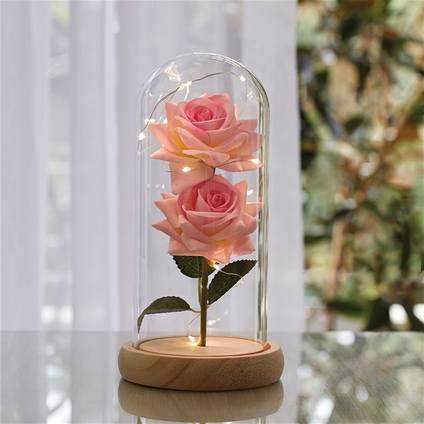 Enchanting Roses LED Light