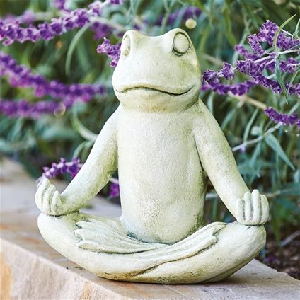 Zen Yoga Frog