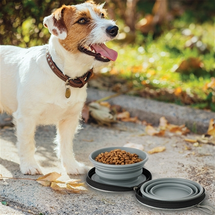 Zip Away Double Pet Bowls