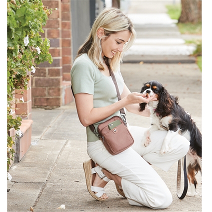 Dog Walkers' Bag