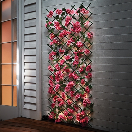 Expandable Flower-Strewn Trellis