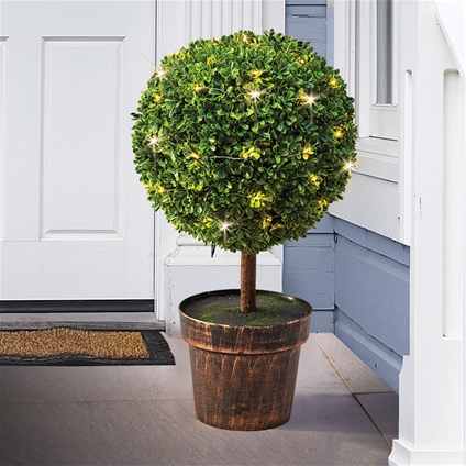 Topiary Solar Tree