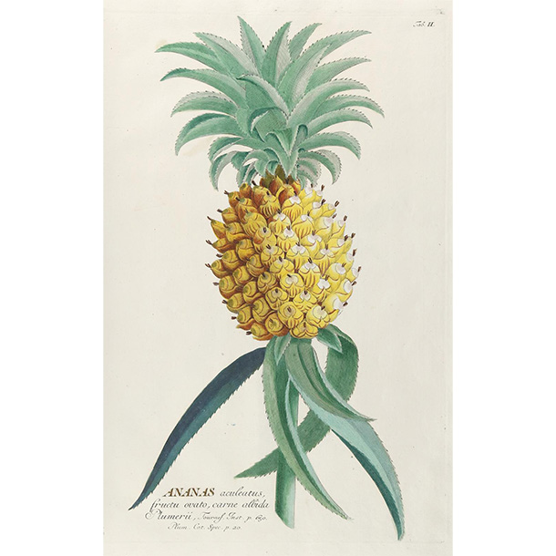 view this auction lot