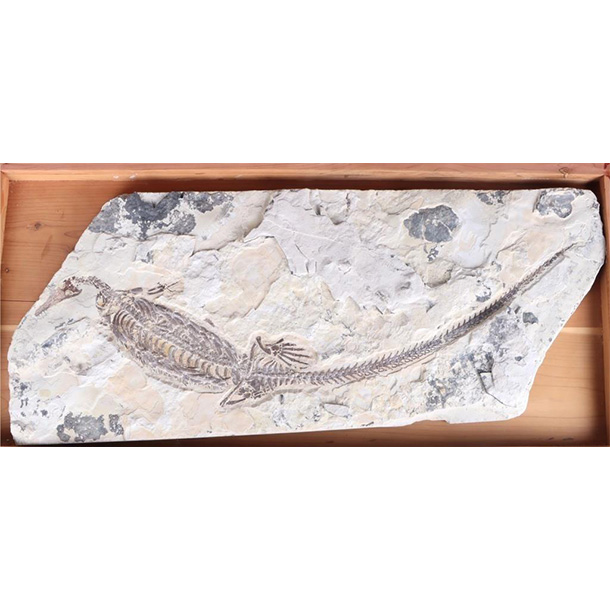 view this auction lot