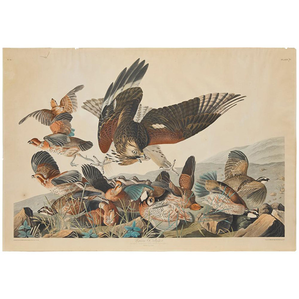 view this auction lot