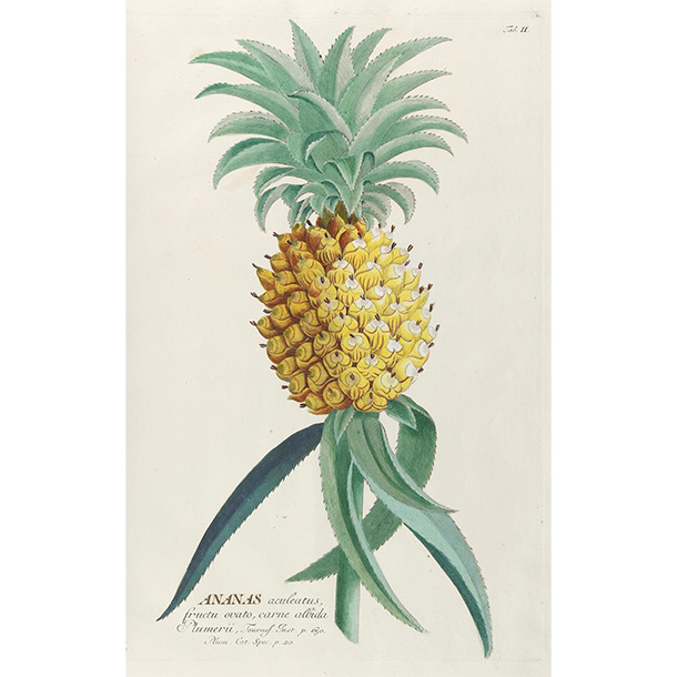 view this auction lot