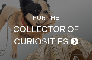 image of teddy bears