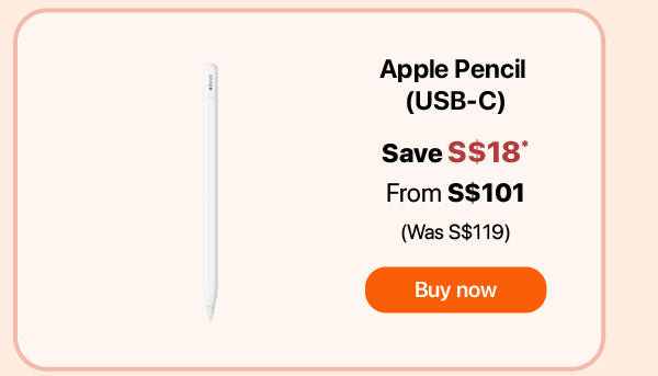Apple Pencil (USB-C)
